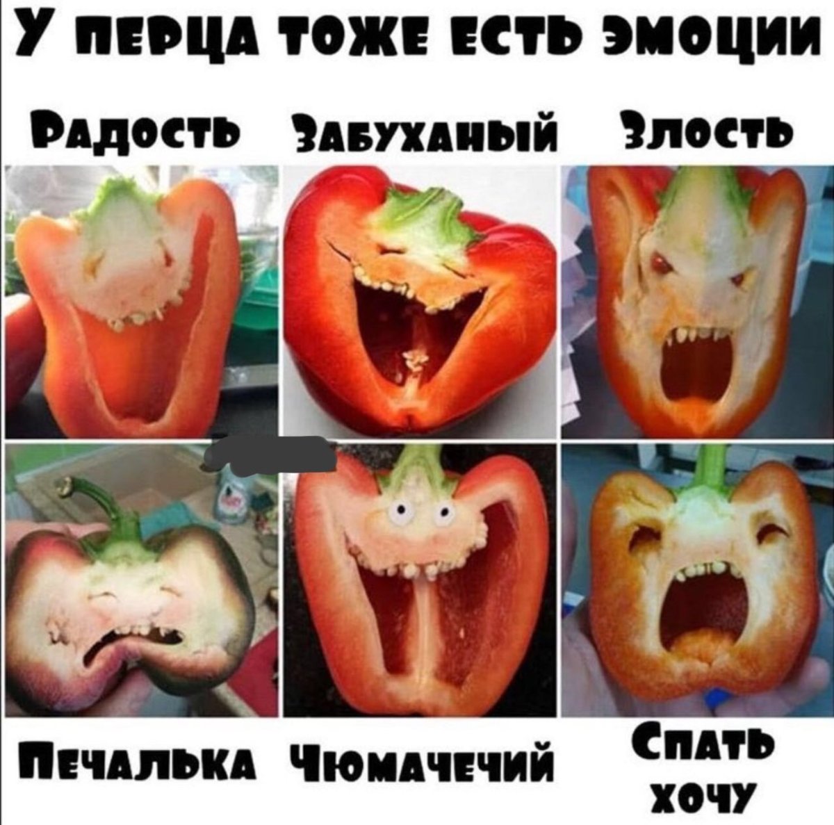 Перец халапеньо растение против зомби