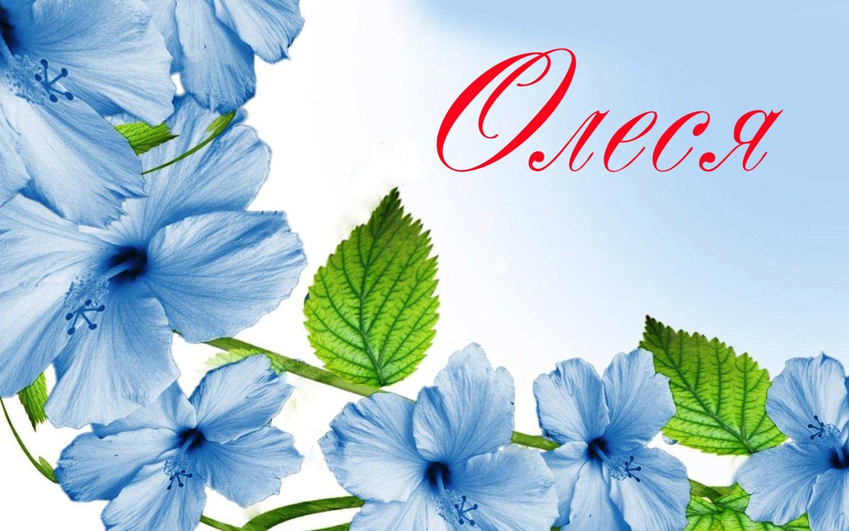 С днём рождения Олеся