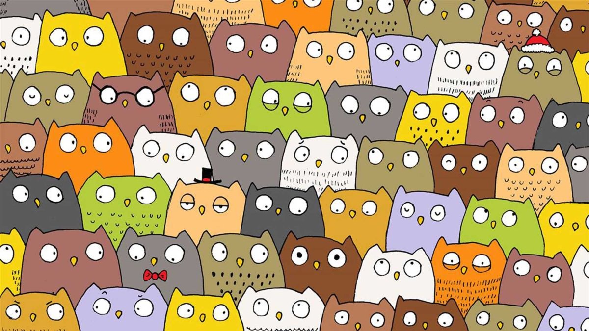 Найди свинку среди сов