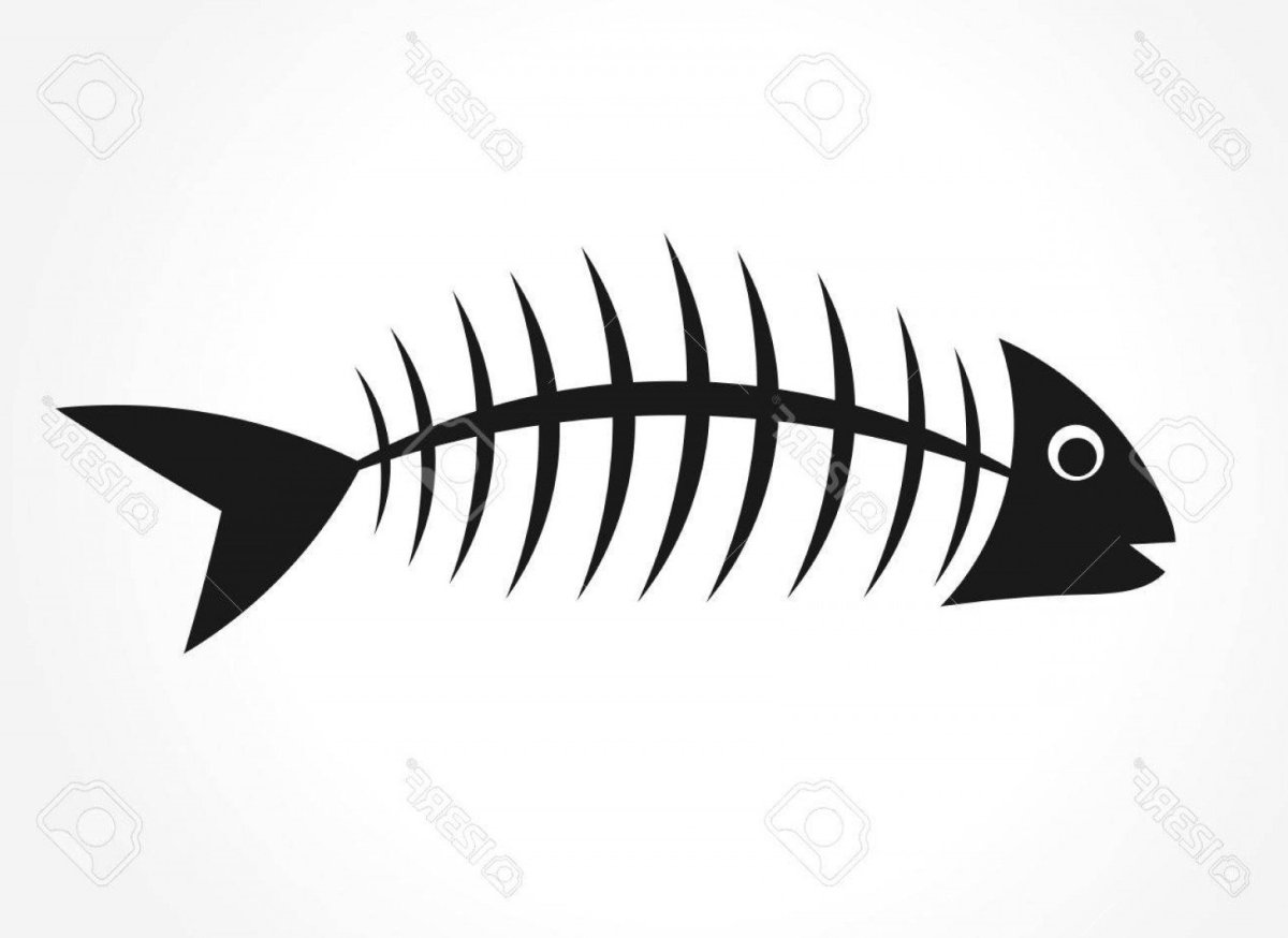 Скелет рыбы силуэт