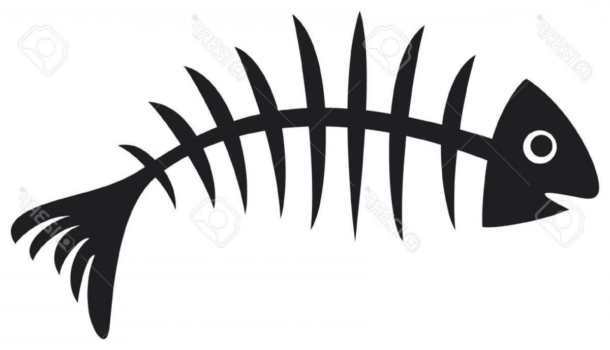 Скелет рыбки вектор