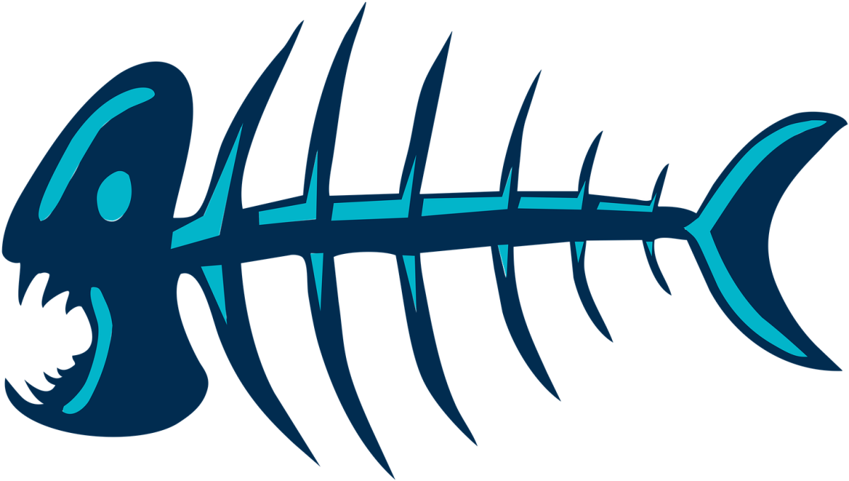 Скелет ерша