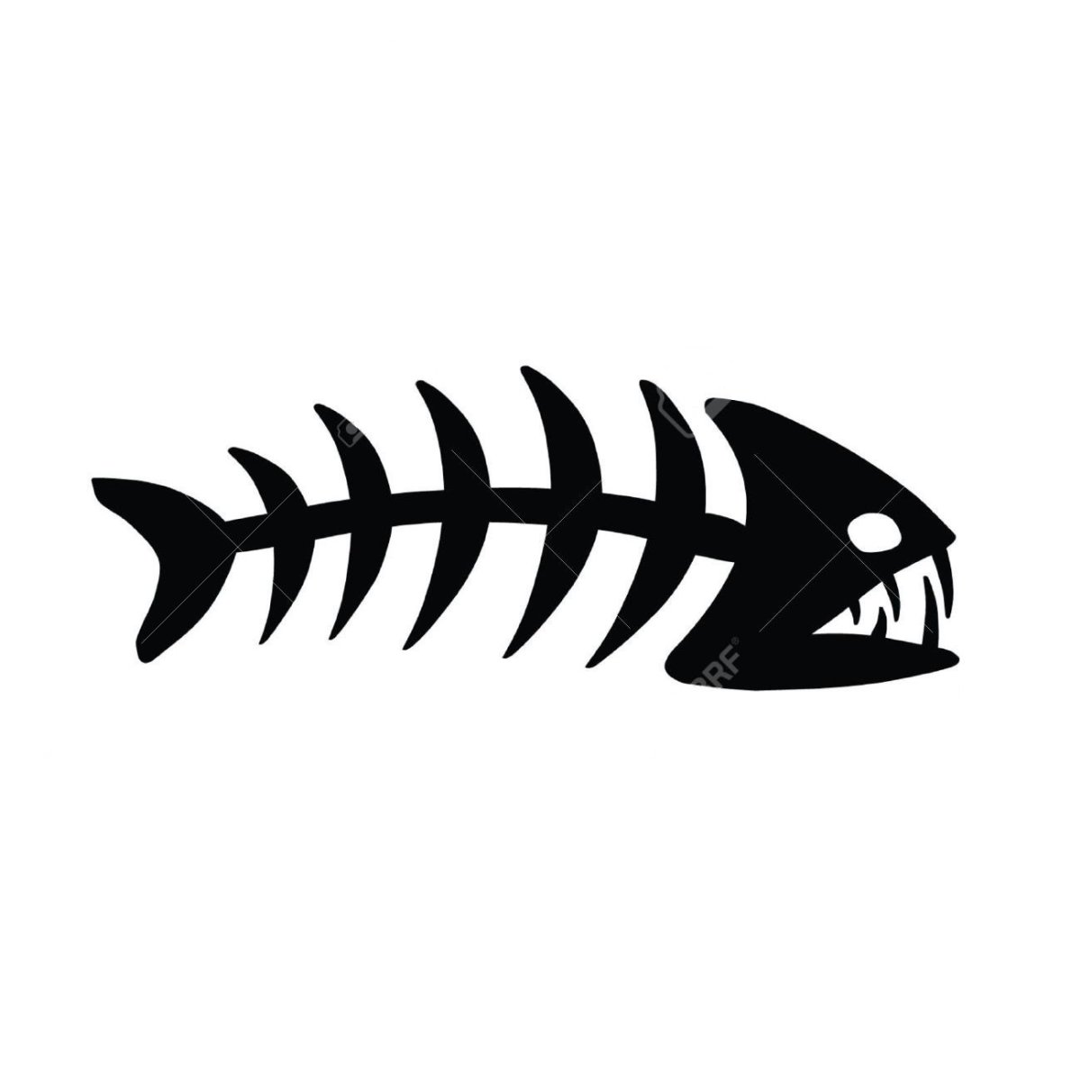 Скелет рыбы Графика