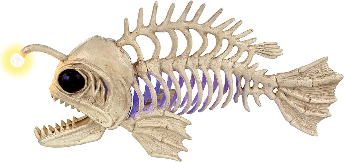 Скелет рыбы