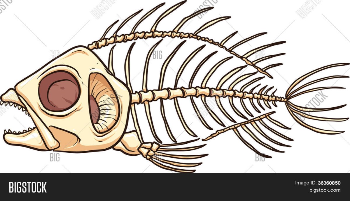 Скелет рыбы иконка