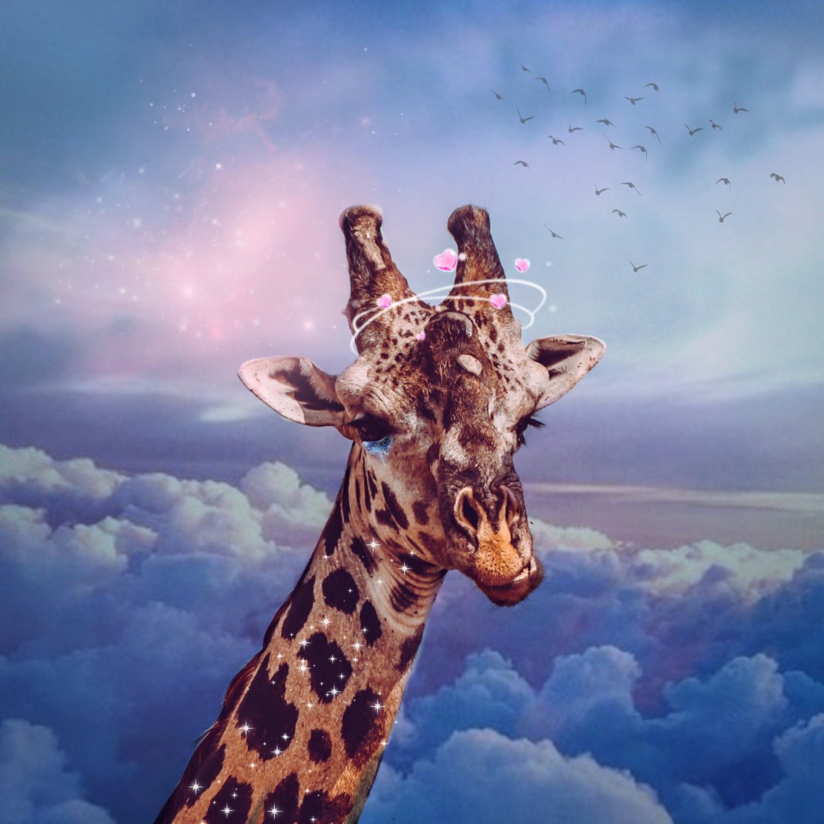 Милые рисунки для срисовки