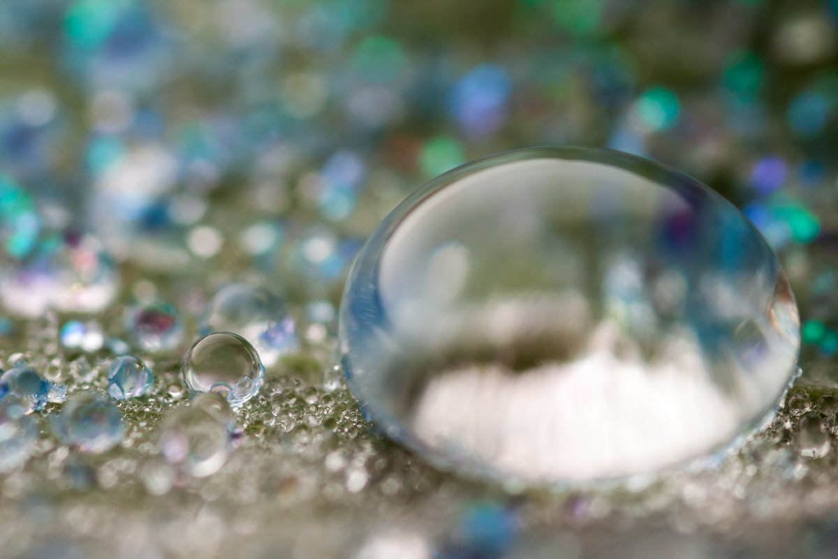 Роса на цветах