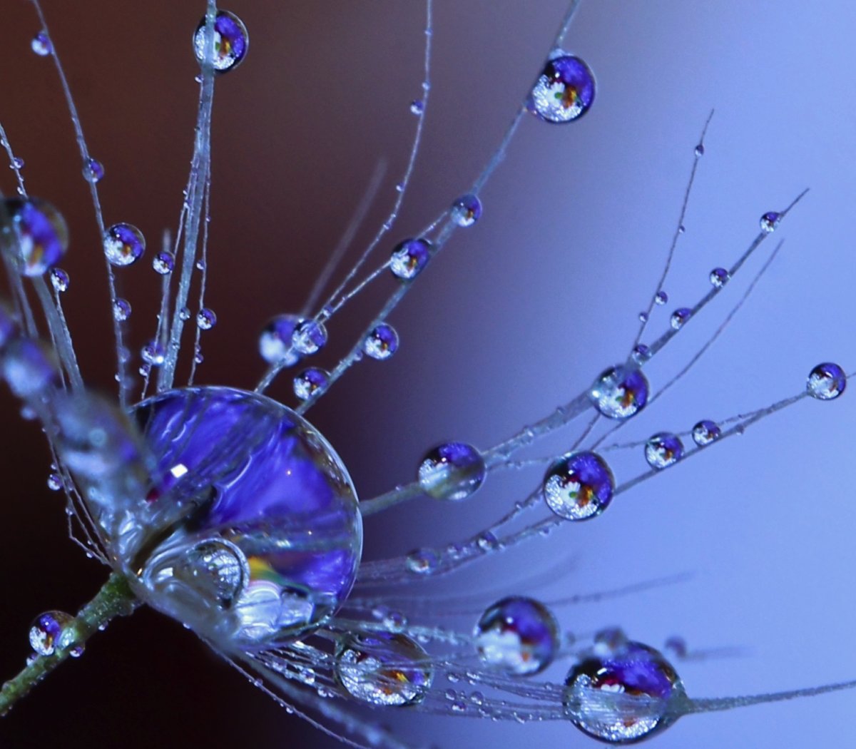 Обои для рабочего стола вода зовет