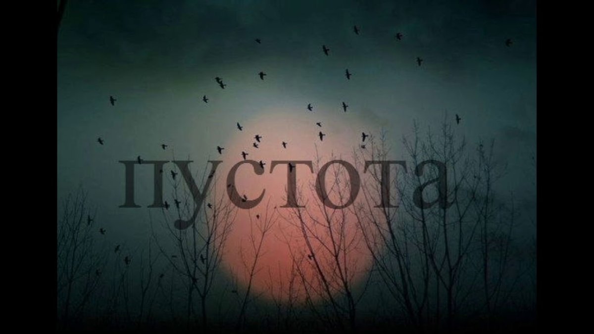 Наша маленькая стая уходит в небо