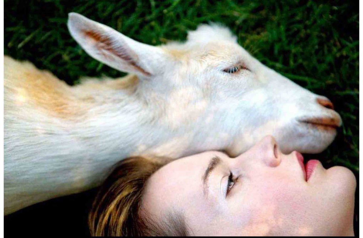 Козлик в лодке