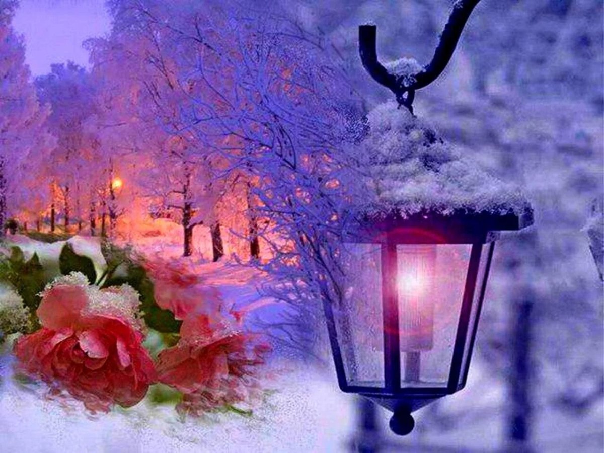 Доброго уютного вечера