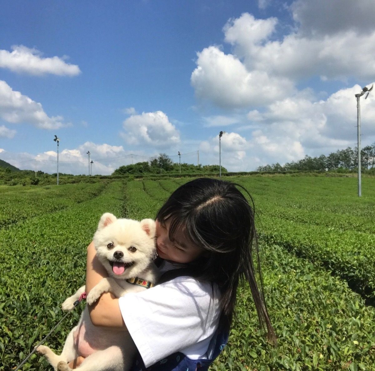 Ван Хао Сюань и Сун Цзиян