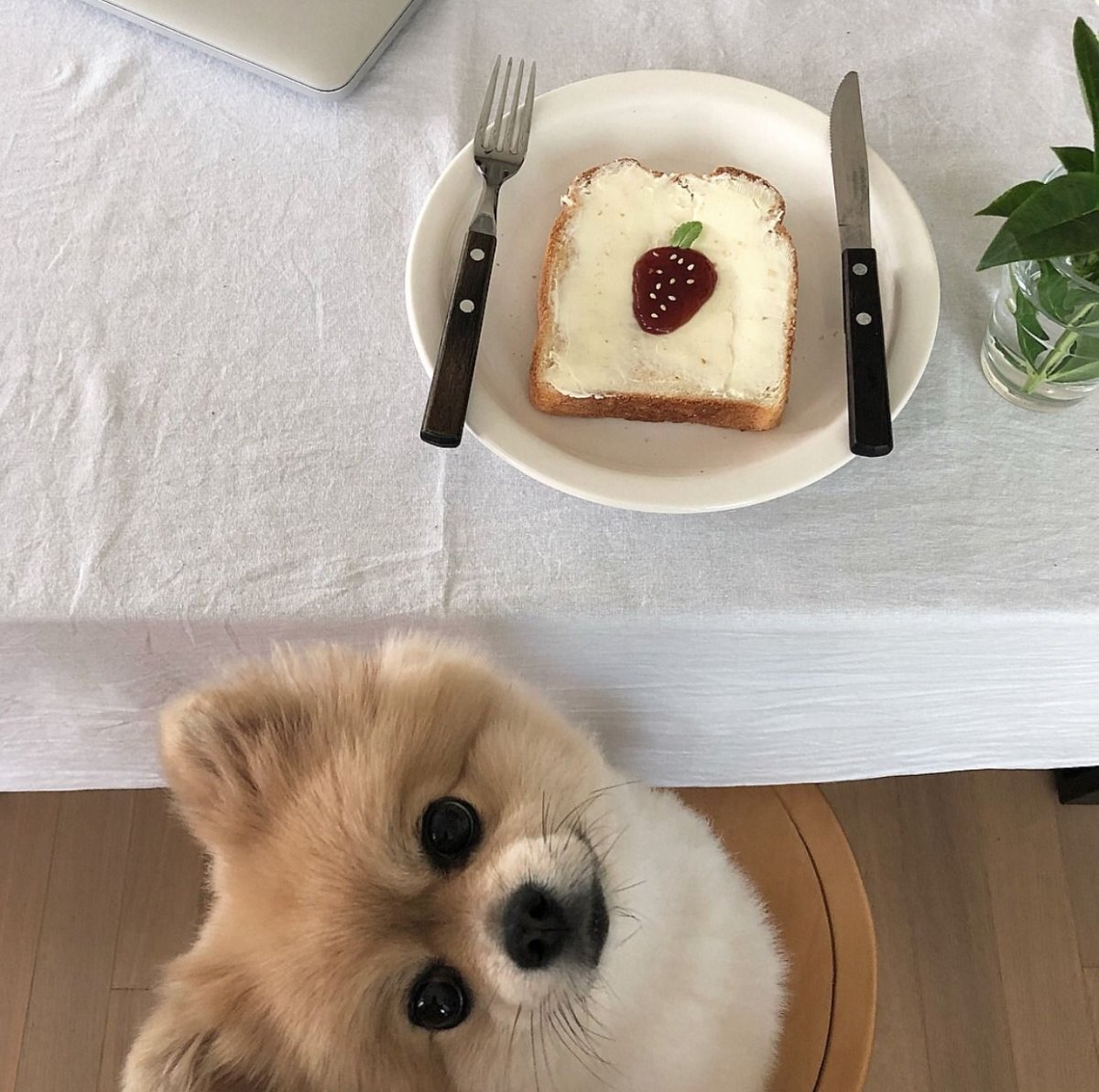 Тетя на корейском