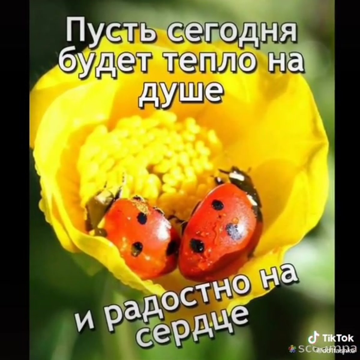 Зарядись позитивом