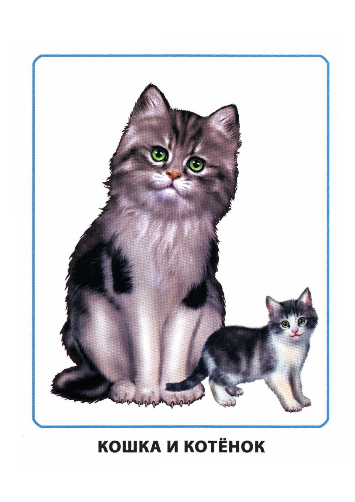 Кошка и котенок для детей