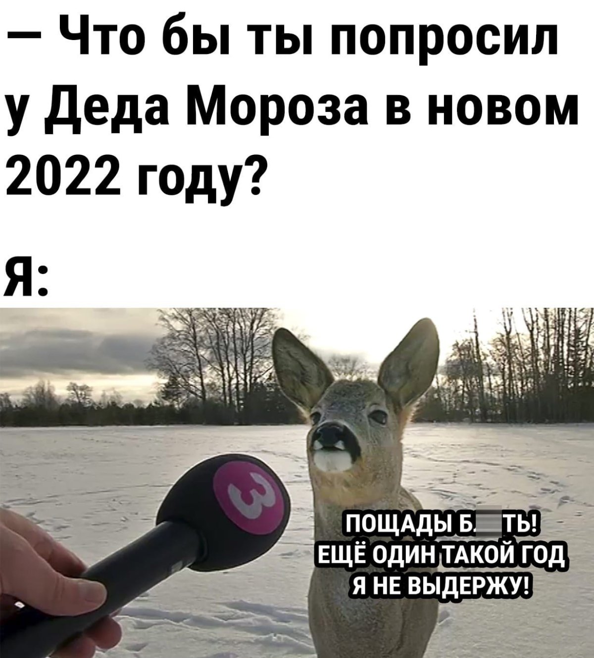 Анекдоты про интернет