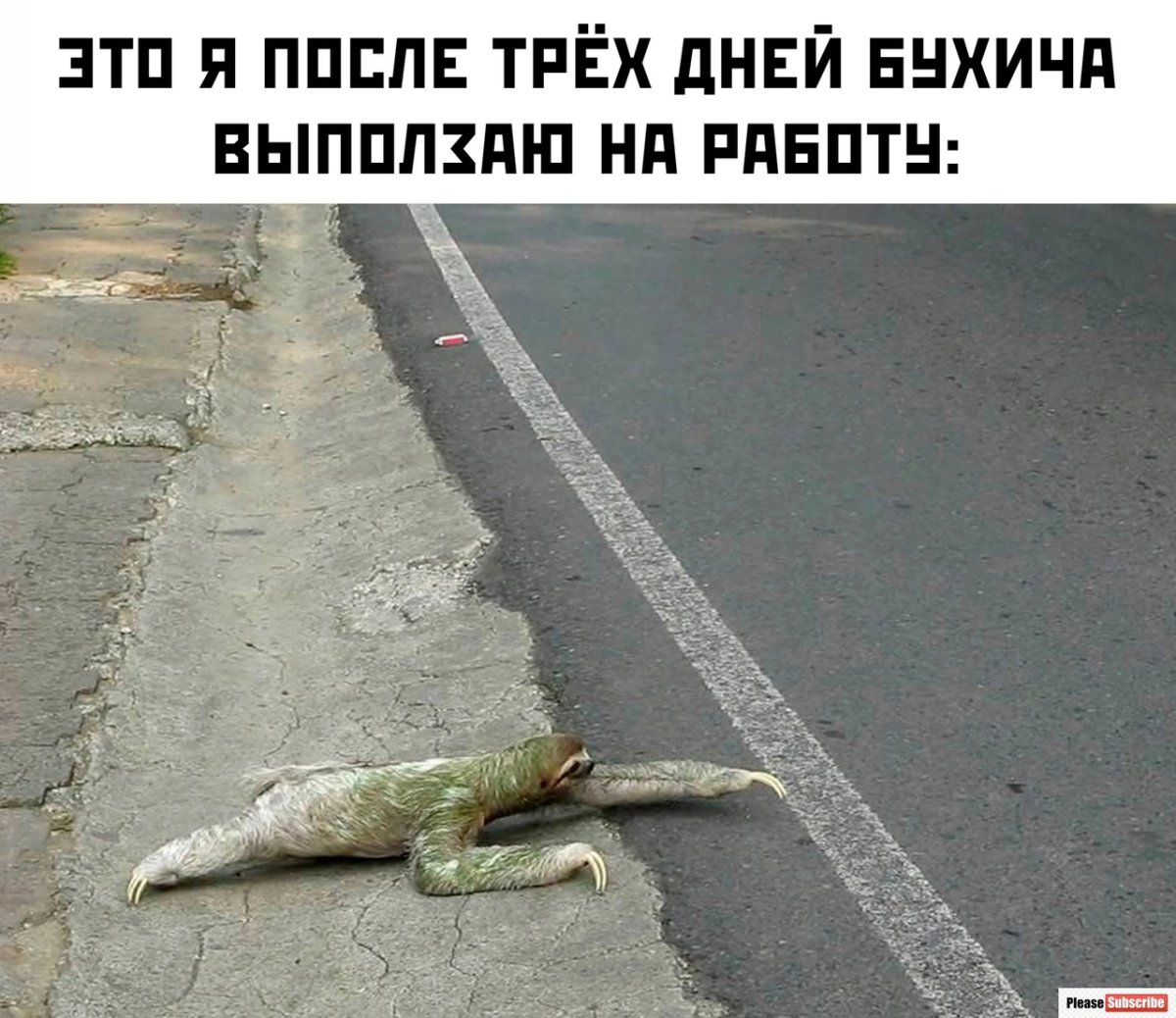 Самые свежие мемы