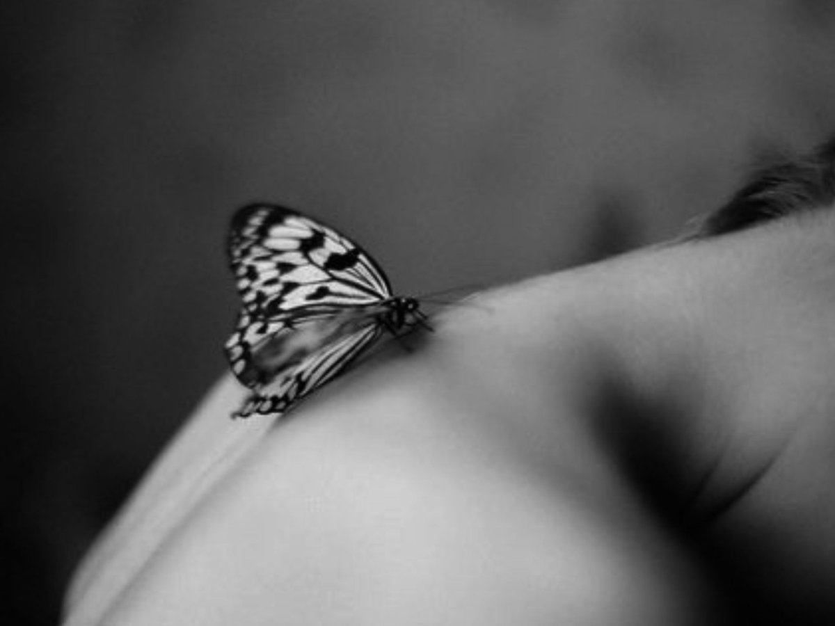 Бабочка на пустом фоне