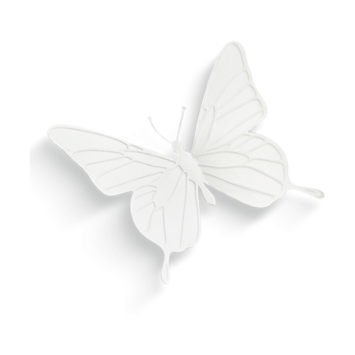 Бабочки белые с черными прожилками для печати