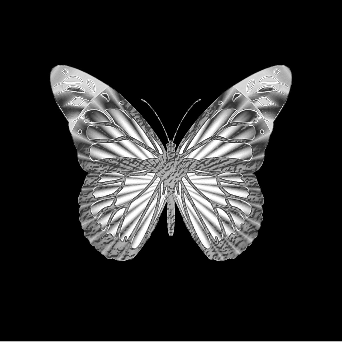 Бабочки черно белые много