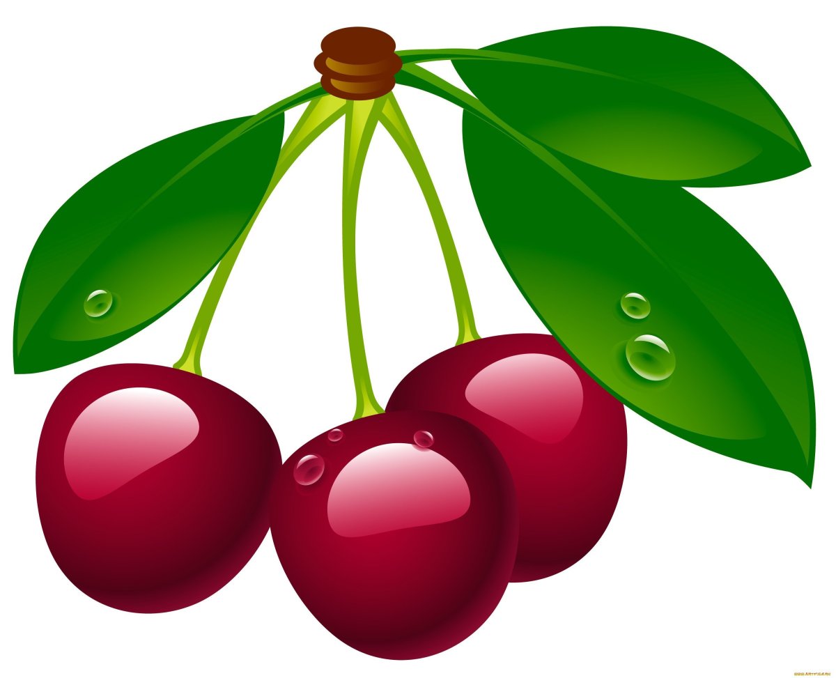 Маркировка вишня для детского сада