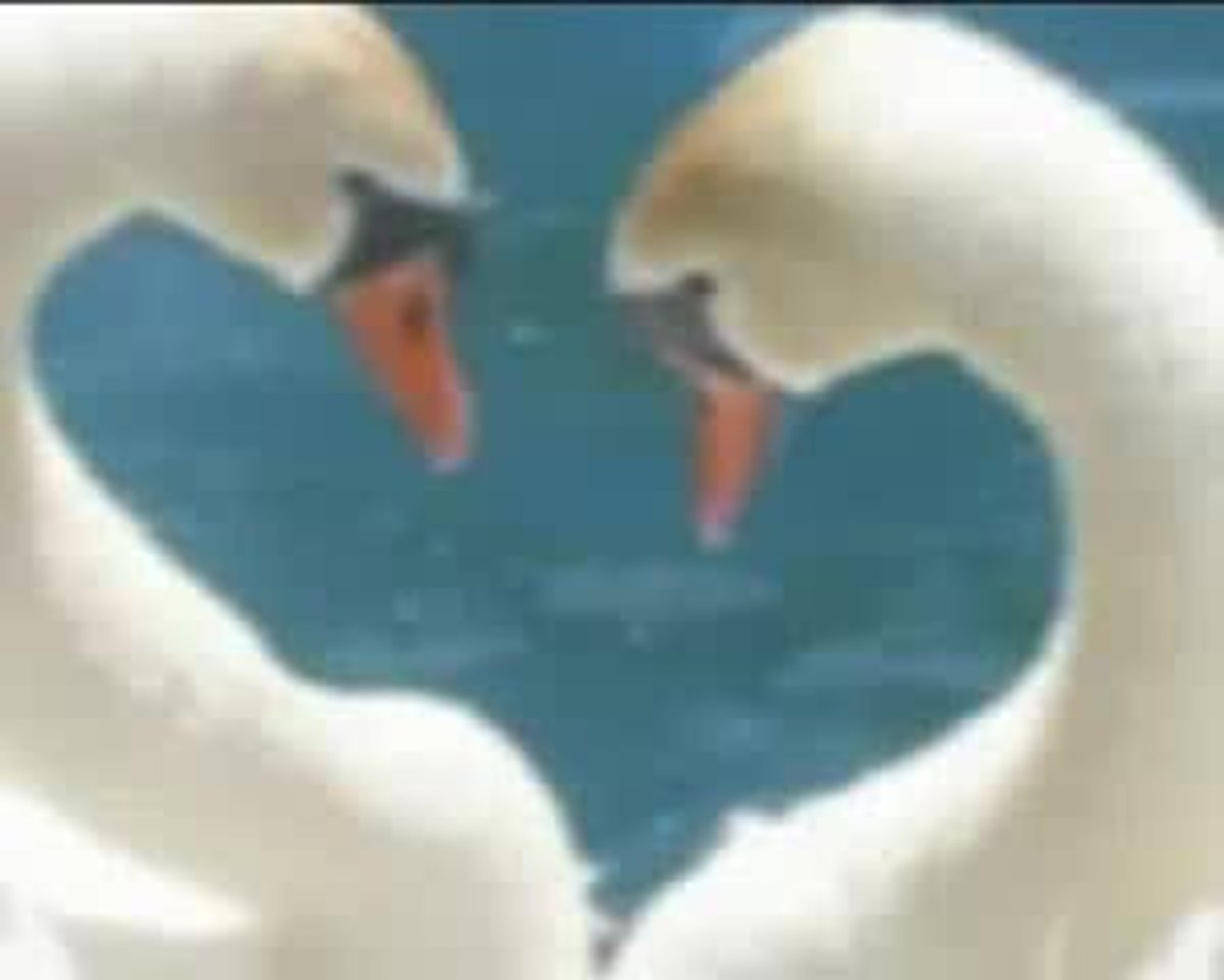 Падающий лебедь