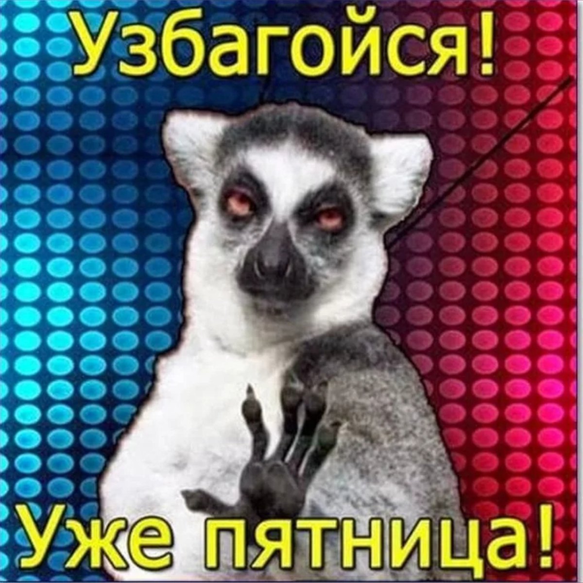 Узбагойся уже пятница