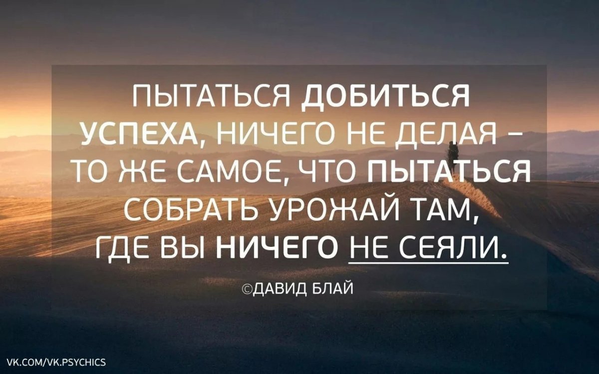 Цитаты про успех