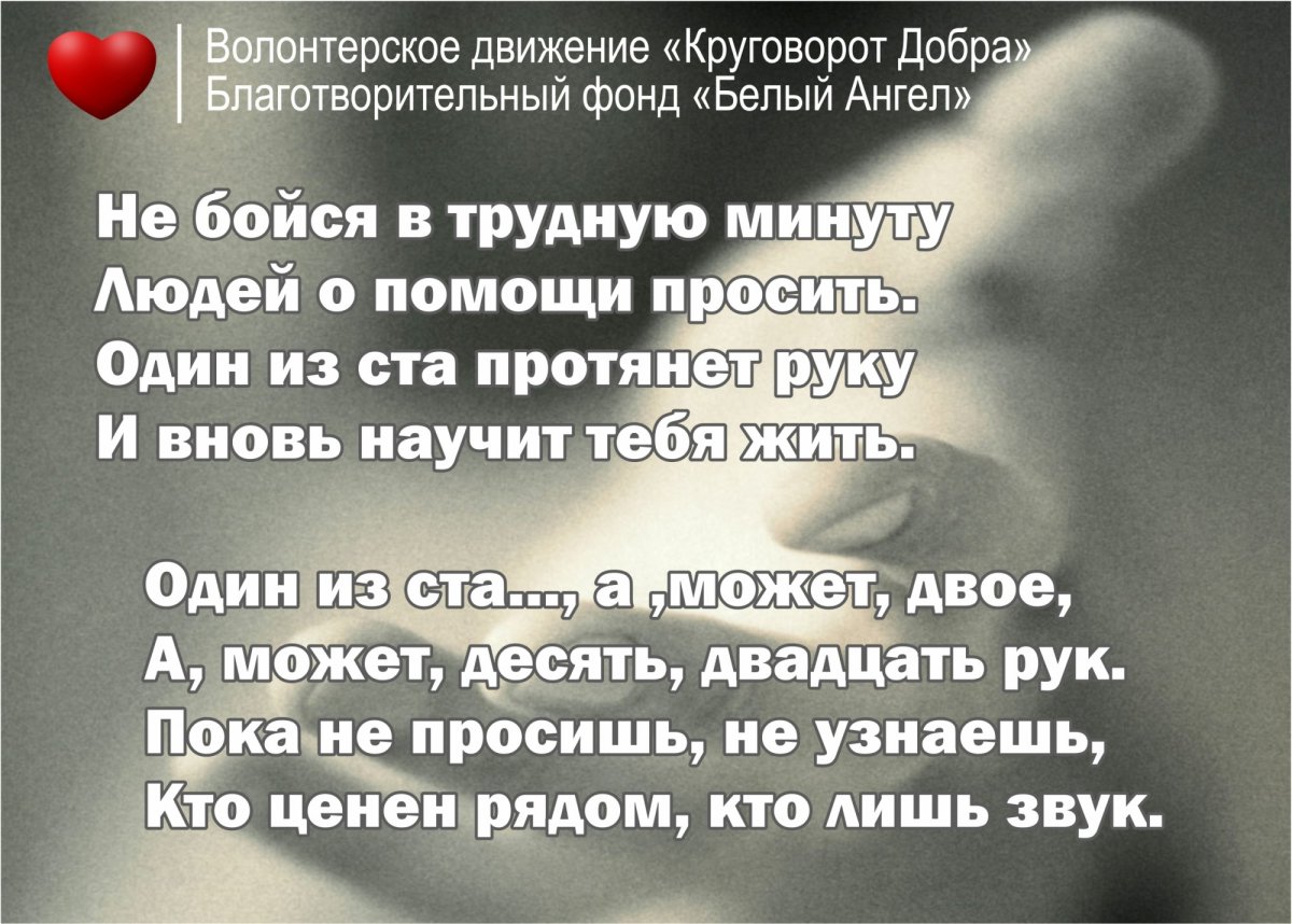 Кошачья лапа в руке человека