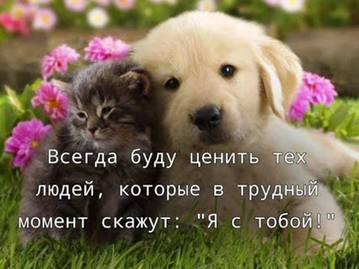 Стихи поддержки в трудную минуту женщине