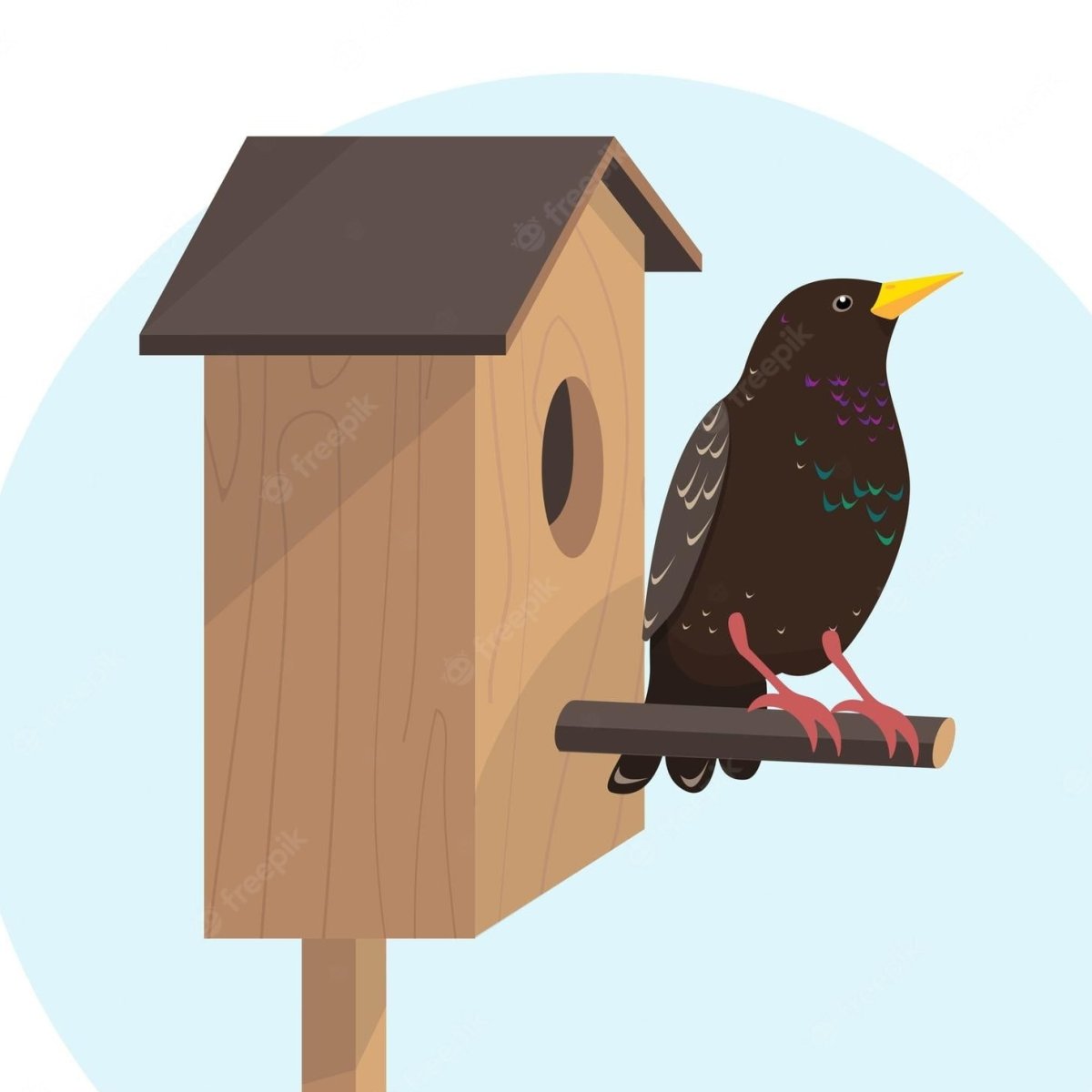 Перелетные птицы на прозрачном фоне