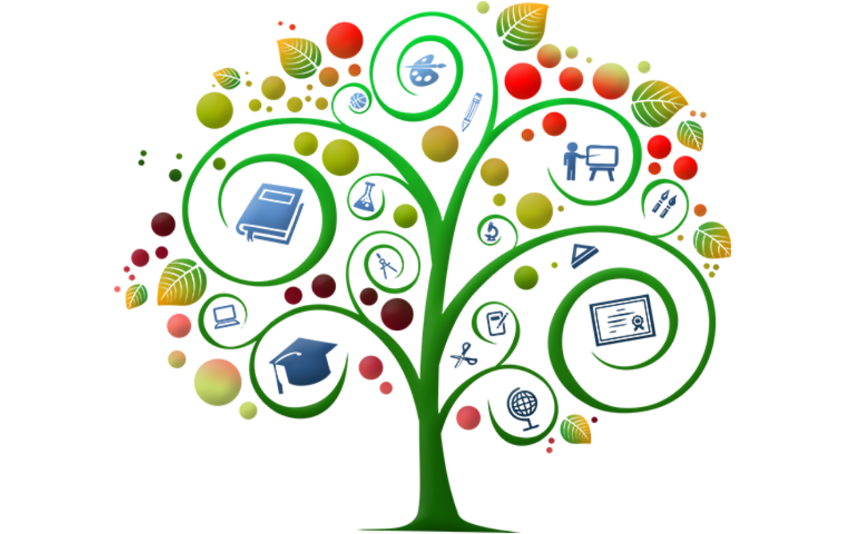 Школа дерево знаний