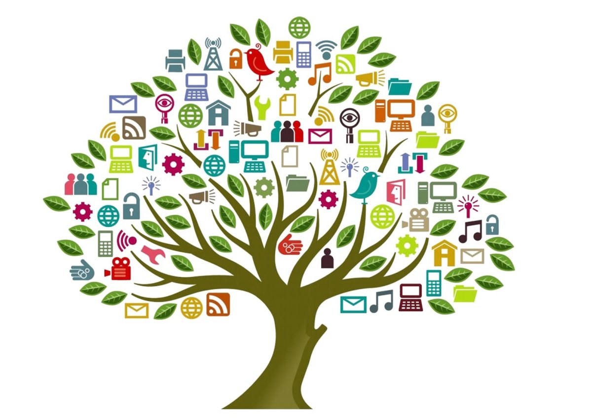 Дерево со школьными предметами