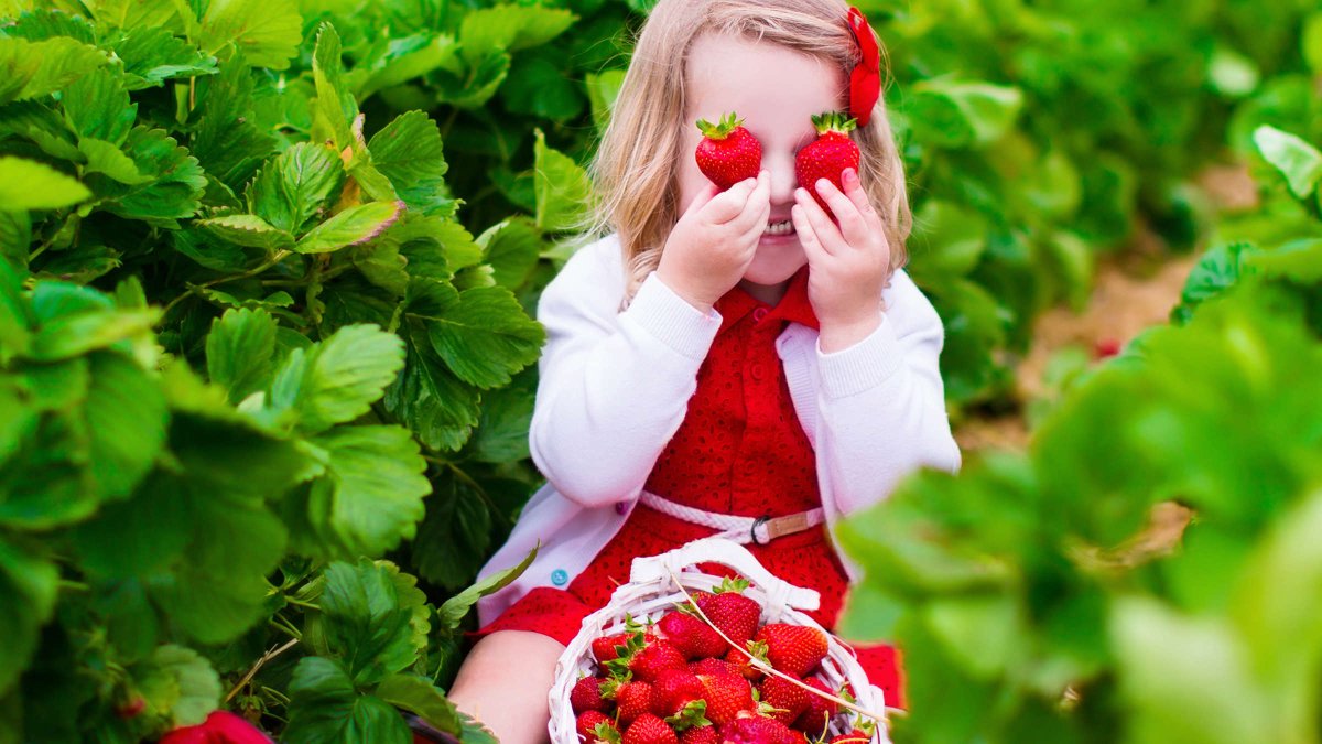 Девочка с клубникой