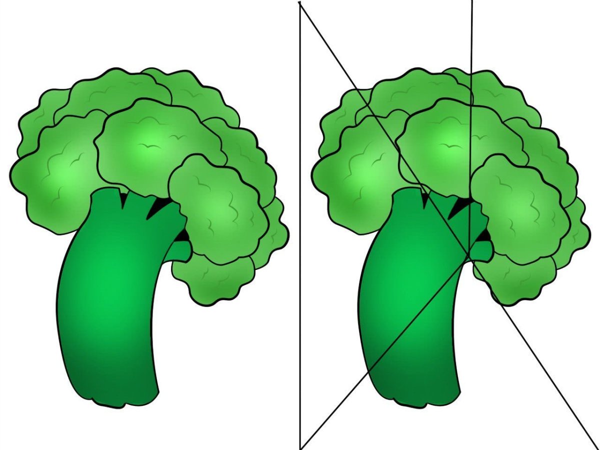 Разрезные овощи