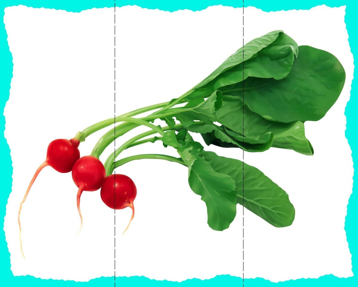 Разрезные картинки овощи