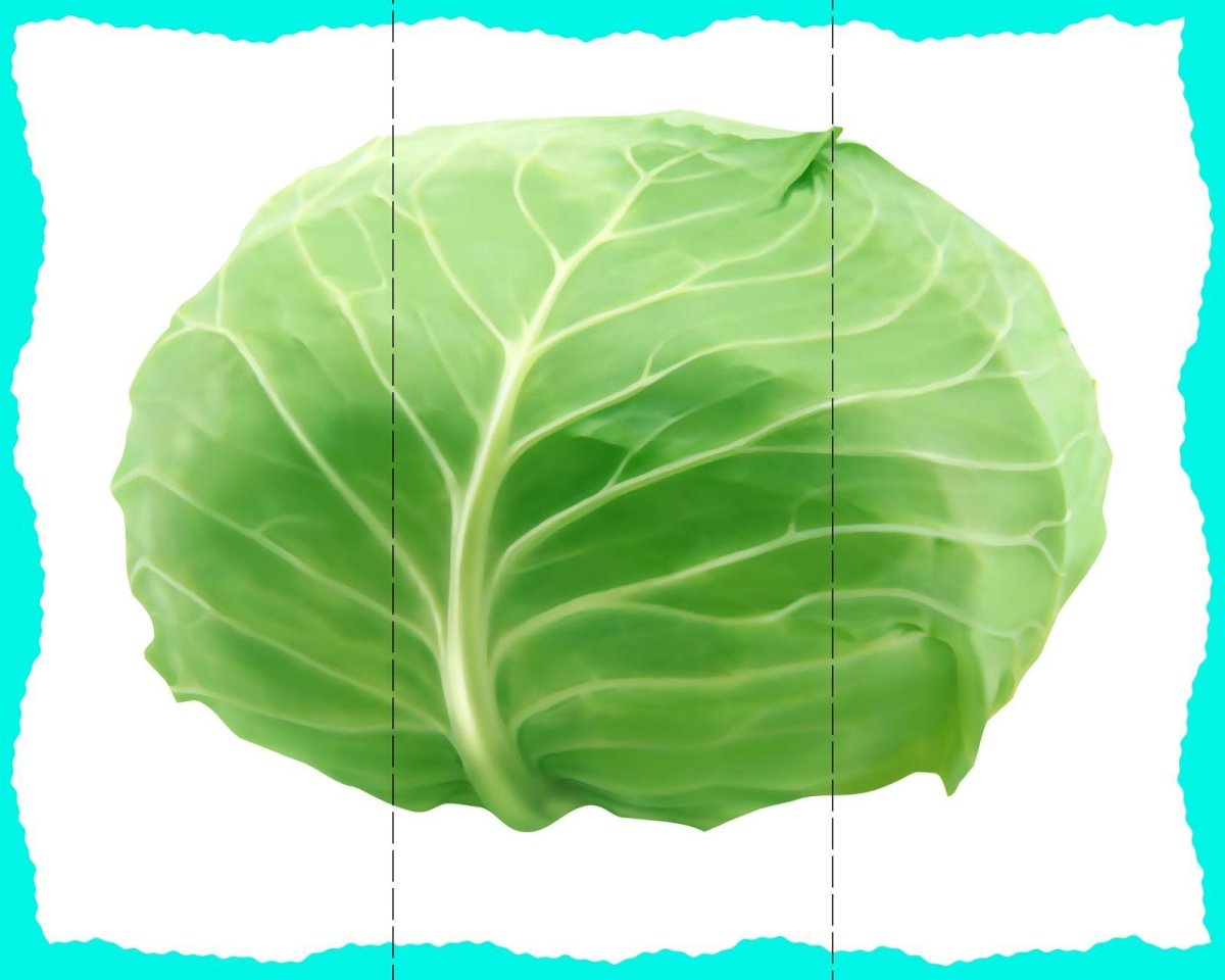 Пазл разрезной фрукты