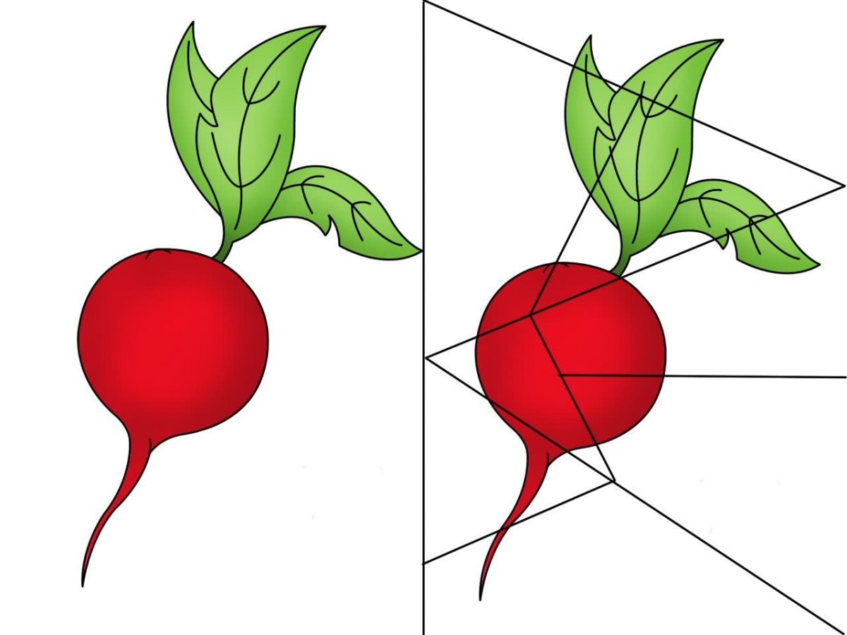 Пазл из овощей картошка