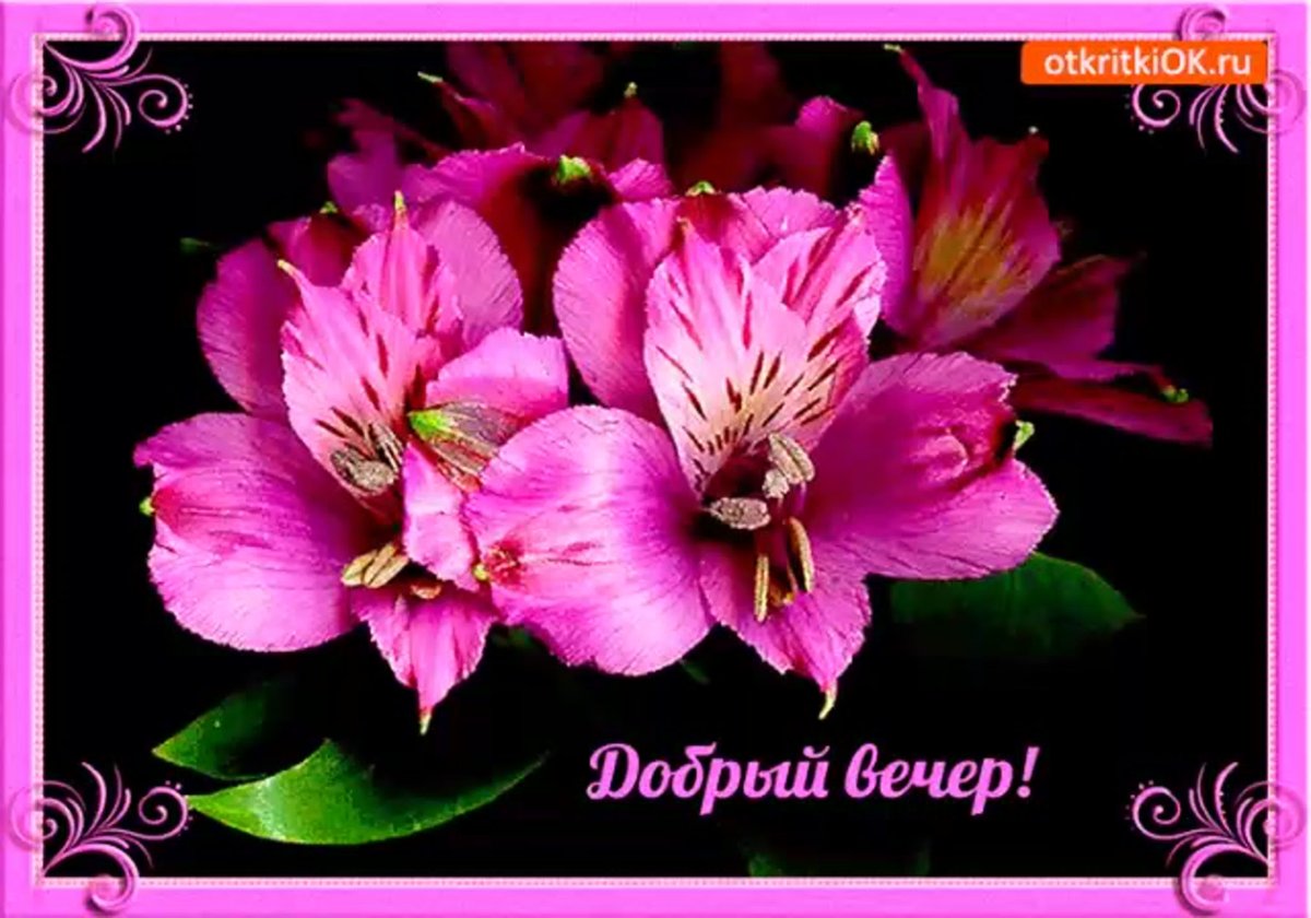 Лилия Эмпресс