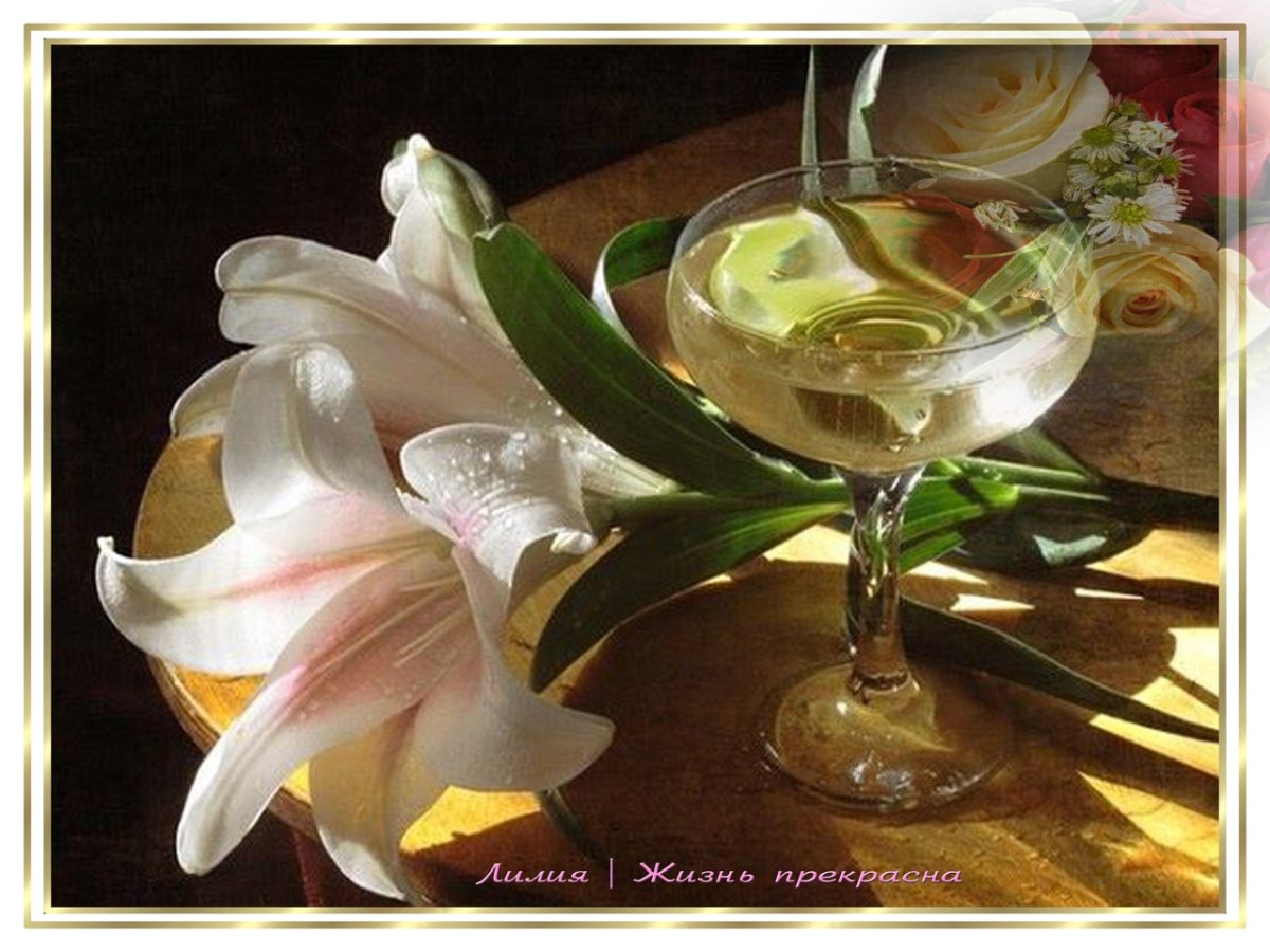 Нежные белые лилии