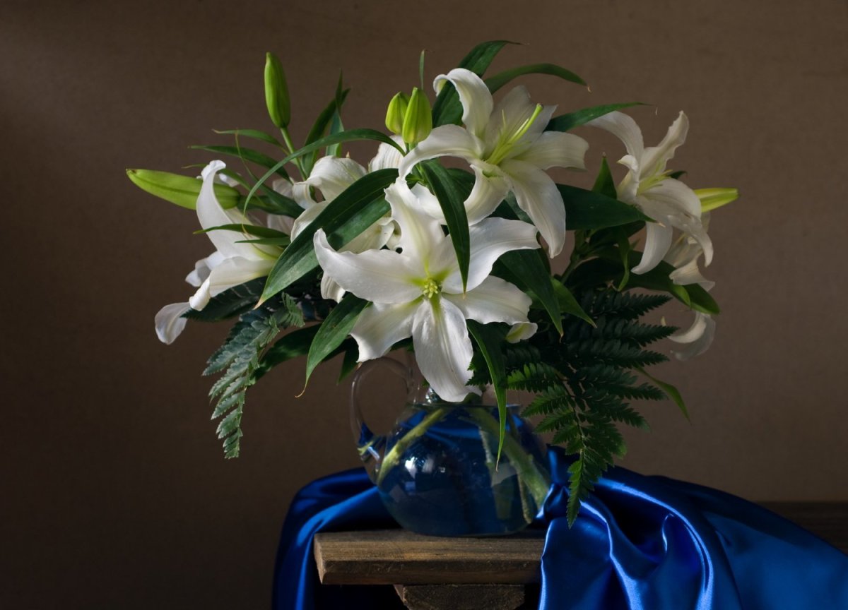 Фотонатюрморты Людмилы Бекман