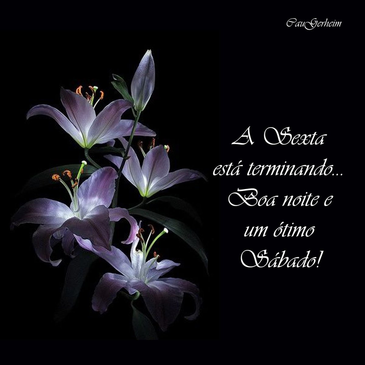 Красивый букет лилий