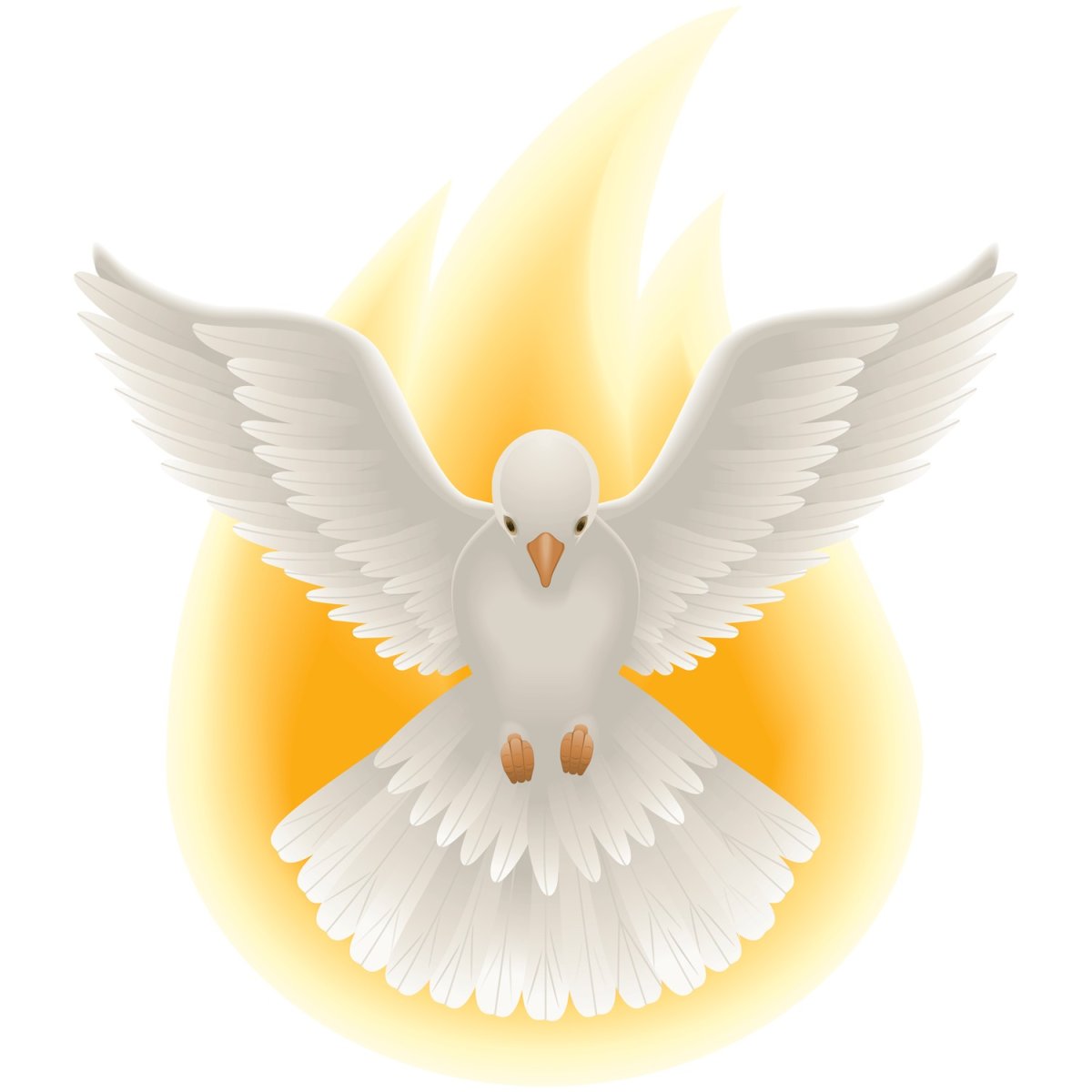 Голубь Святой дух