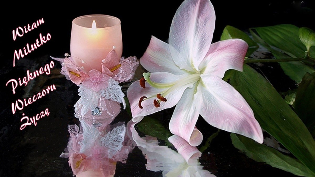 Добрый вечер красивые лилиями