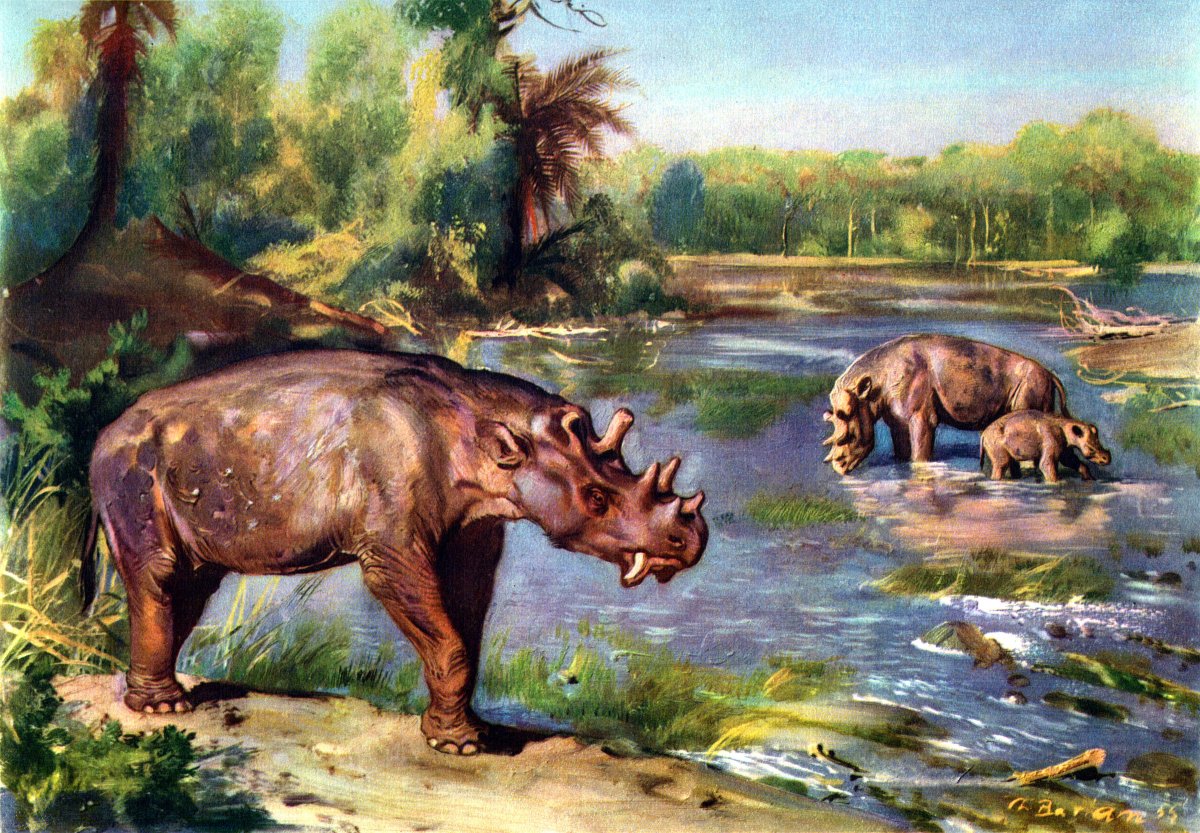 Индрикотерий Зденек Буриан