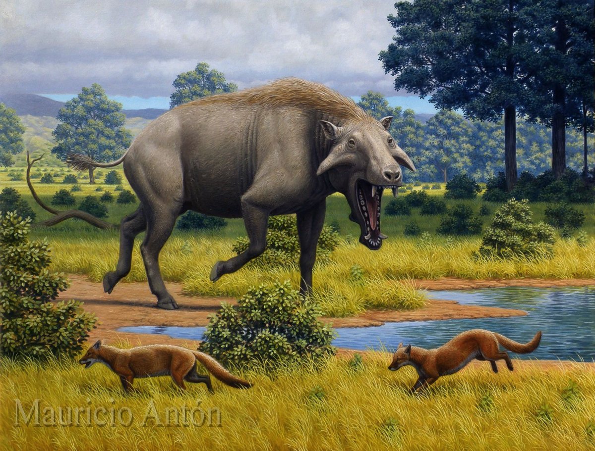 Энтелодонт прогулки с чудовищами