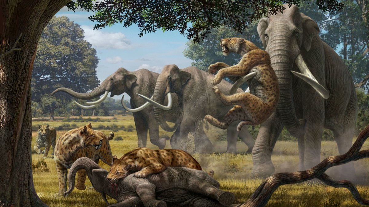 Кайнозой Смилодон