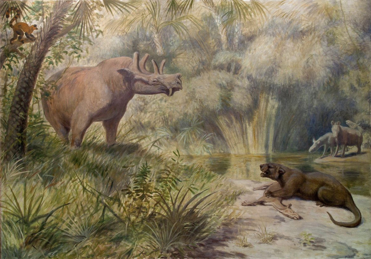 Константин Флёров динозавры