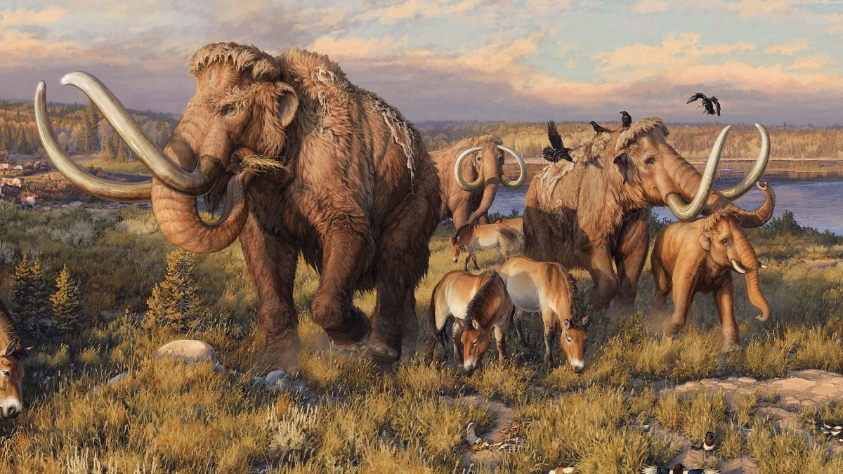 Мамонт палеоарт