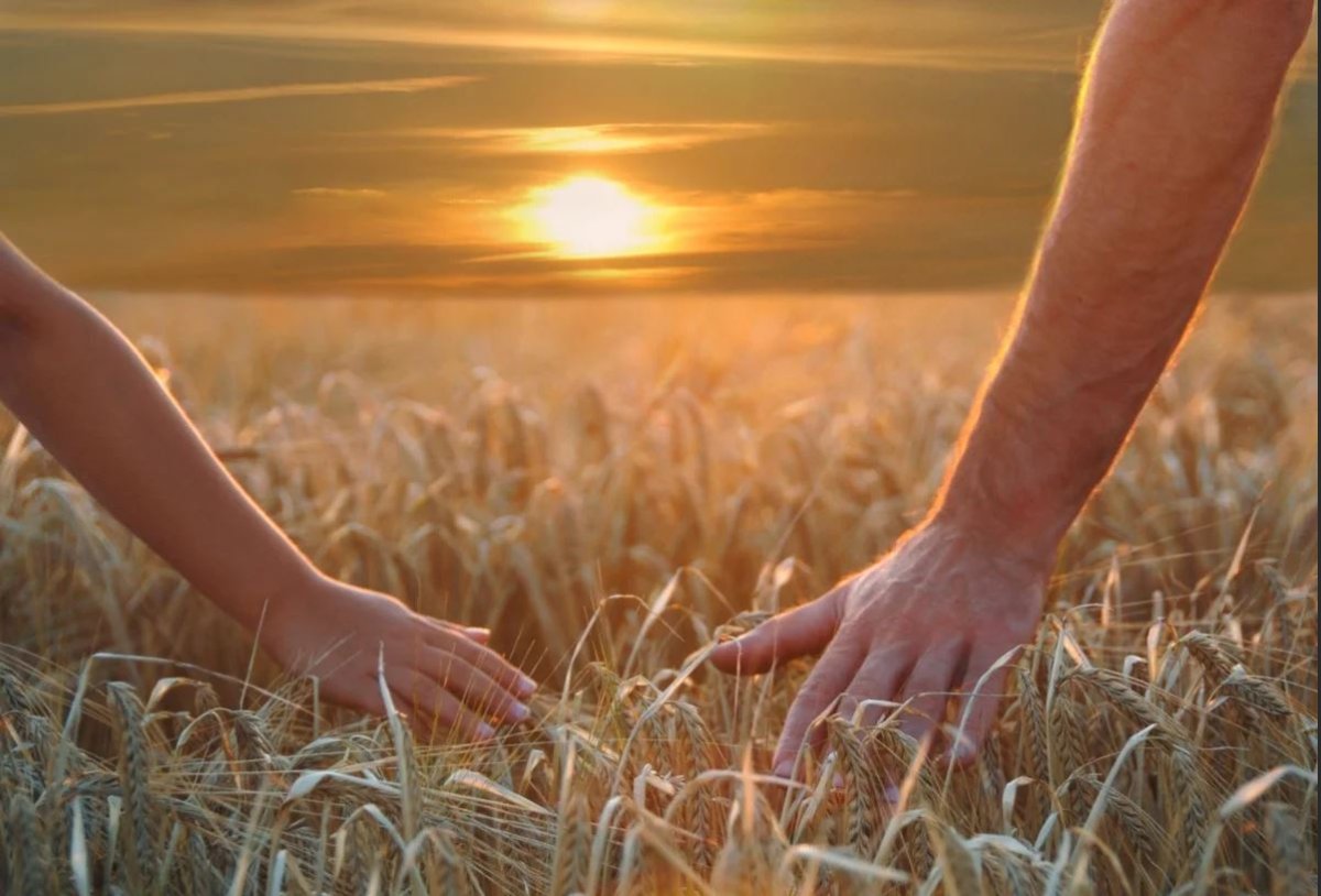 Fate Extra last encore Сейбер арт